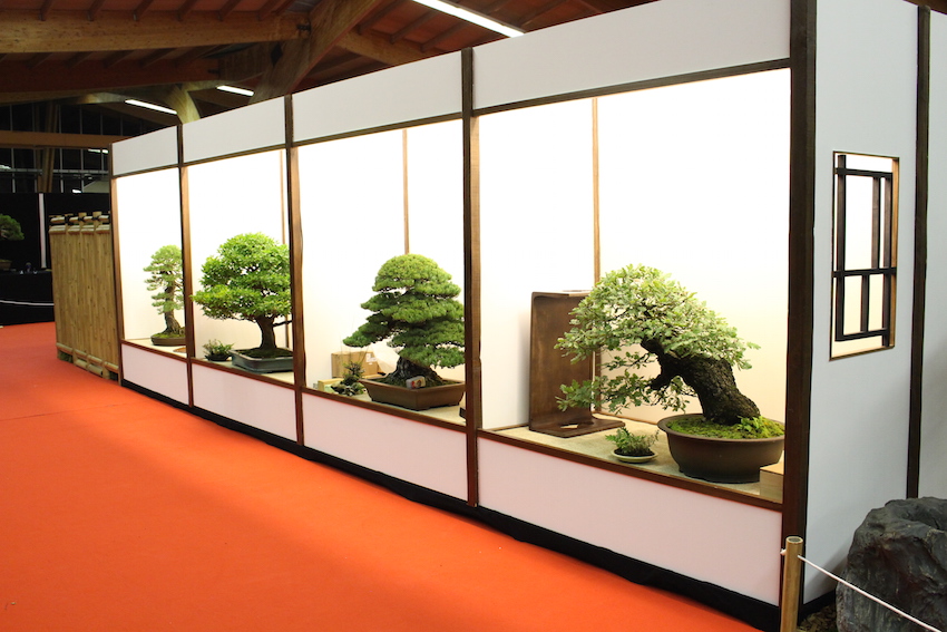 European Bonsai San exhibit