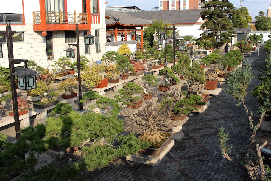 The inner courtyard