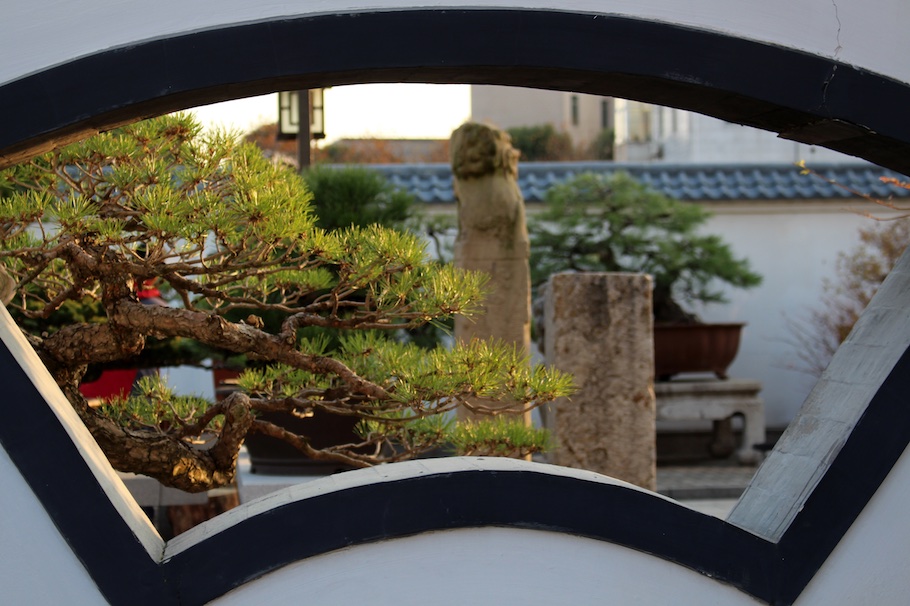 Penjing garden