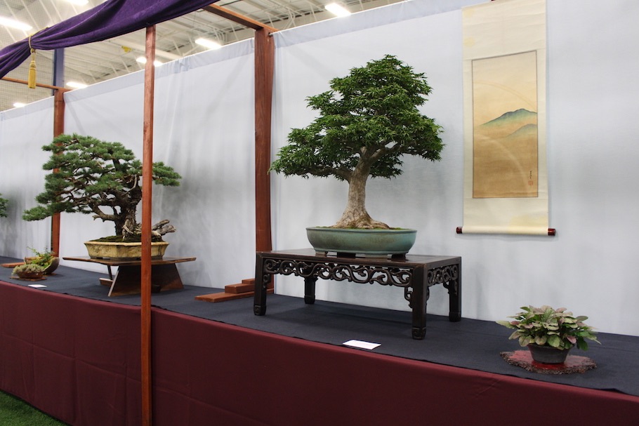 US National Bonsai Exhibition 2018