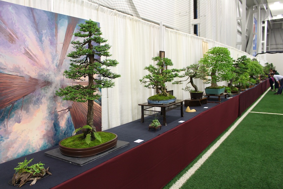 US National Bonsai Exhibition 2018