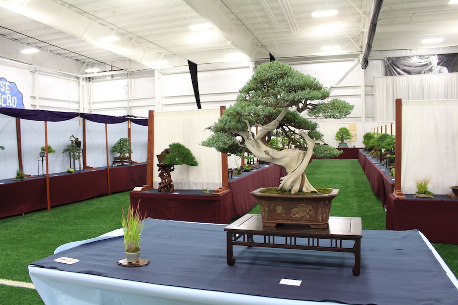 US National Bonsai Exhibition 2018