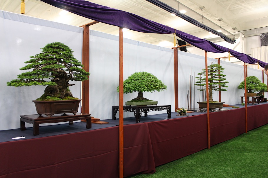 US National Bonsai Exhibition 2018