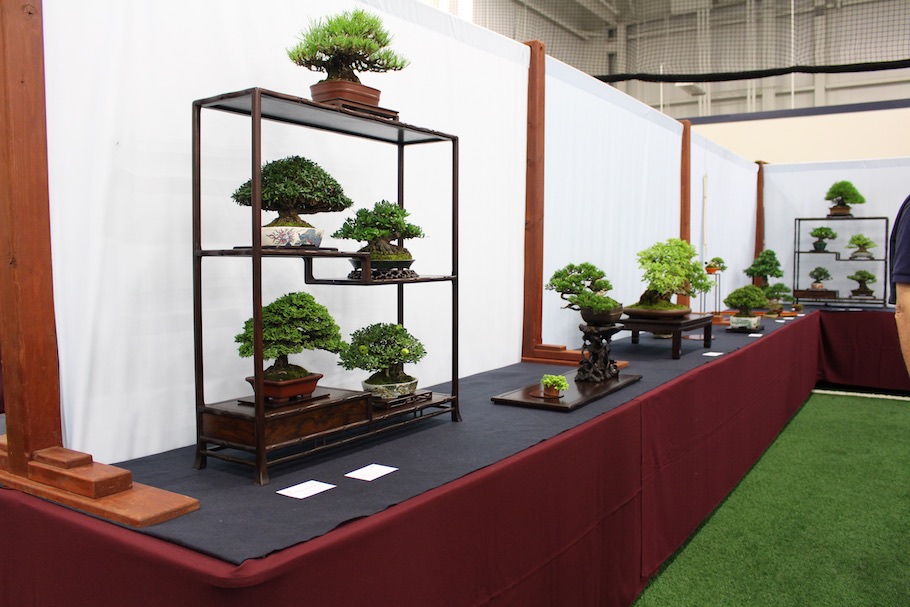 US National Bonsai Exhibition 2018