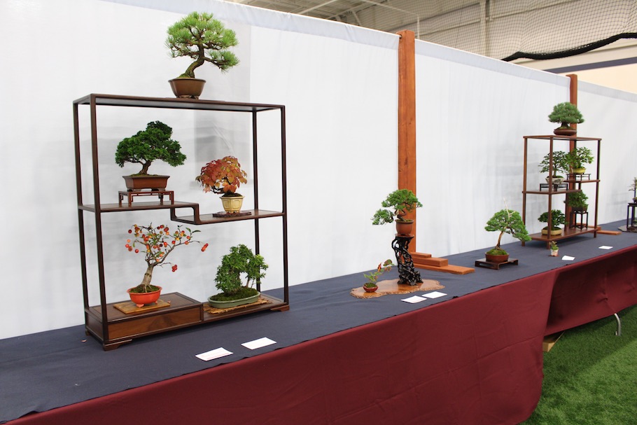 US National Bonsai Exhibition 2018