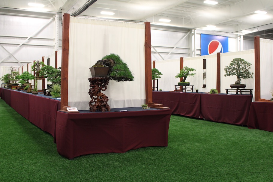 US National Bonsai Exhibition 2018