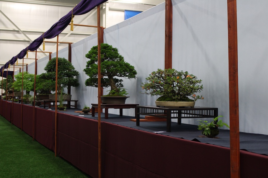 US National Bonsai Exhibition 2018