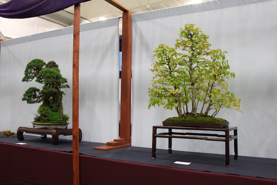 US National Bonsai Exhibition 2018