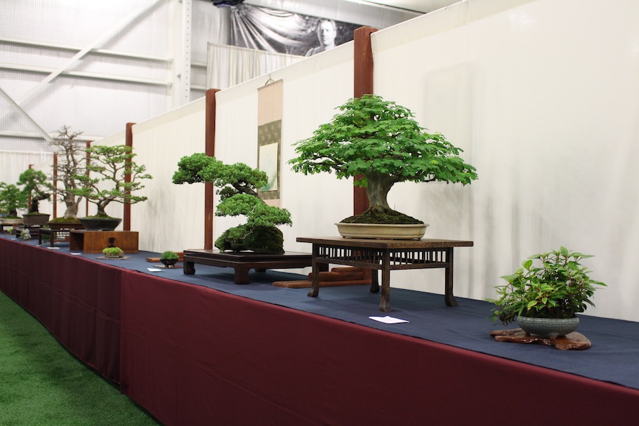 US National Bonsai Exhibition 2018