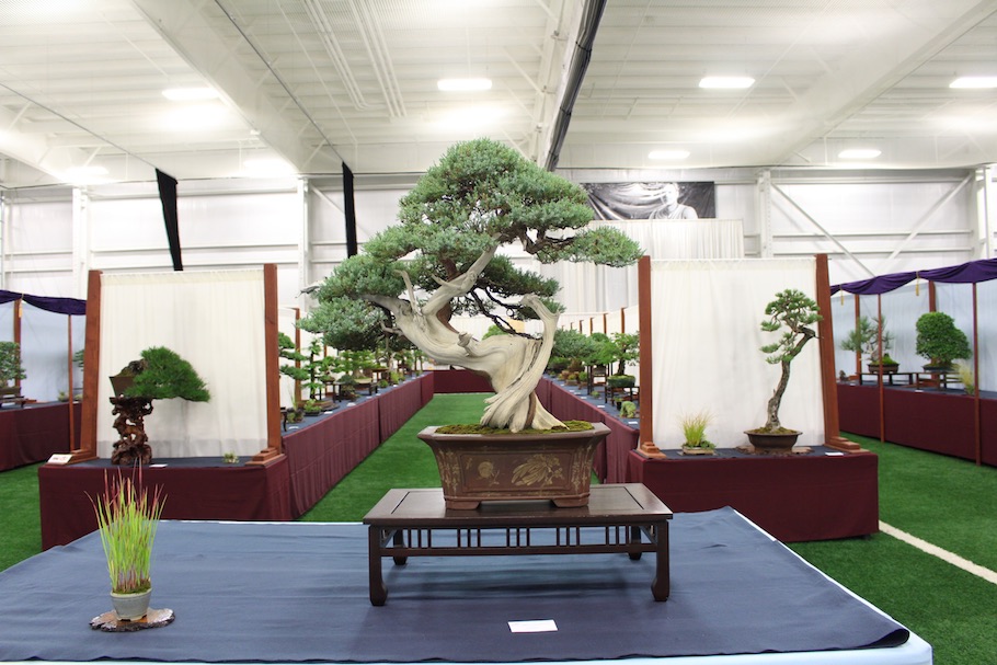 US National Bonsai Exhibition 2018