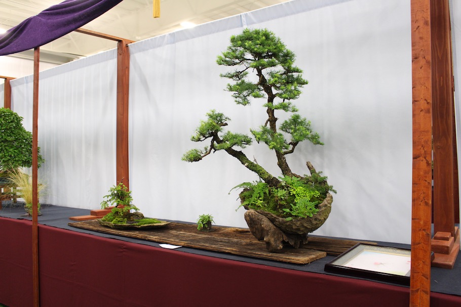 US National Bonsai Exhibition 2018