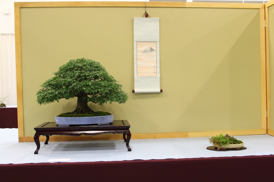 US National Bonsai Exhibition 2018