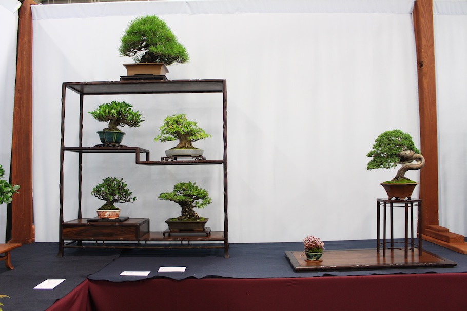 US National Bonsai Exhibition 2018