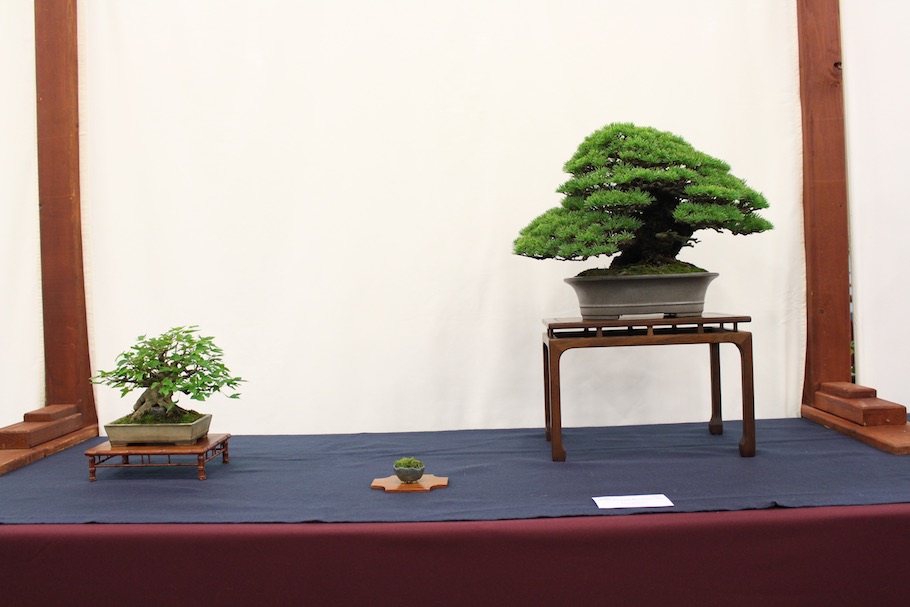 US National Bonsai Exhibition 2018