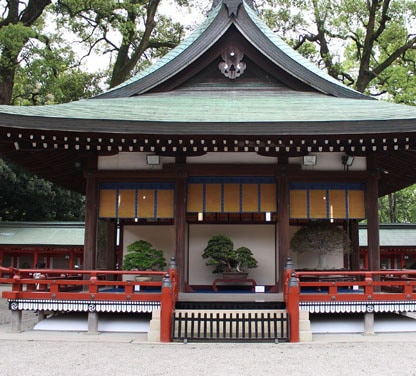 Bonsai in Japan