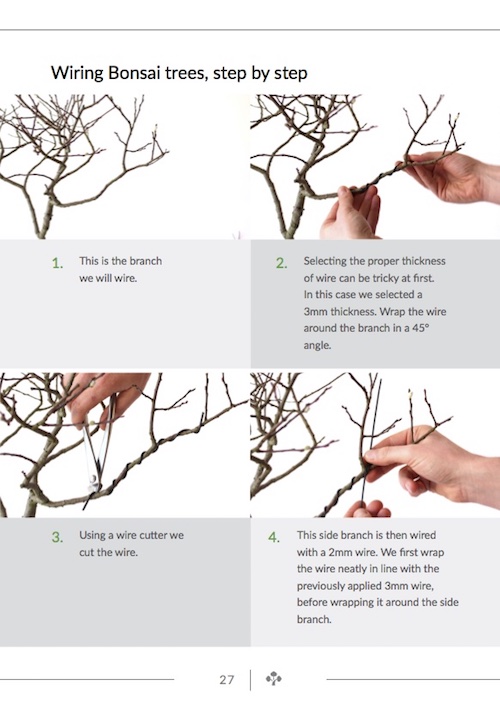 Wiring step-by-step