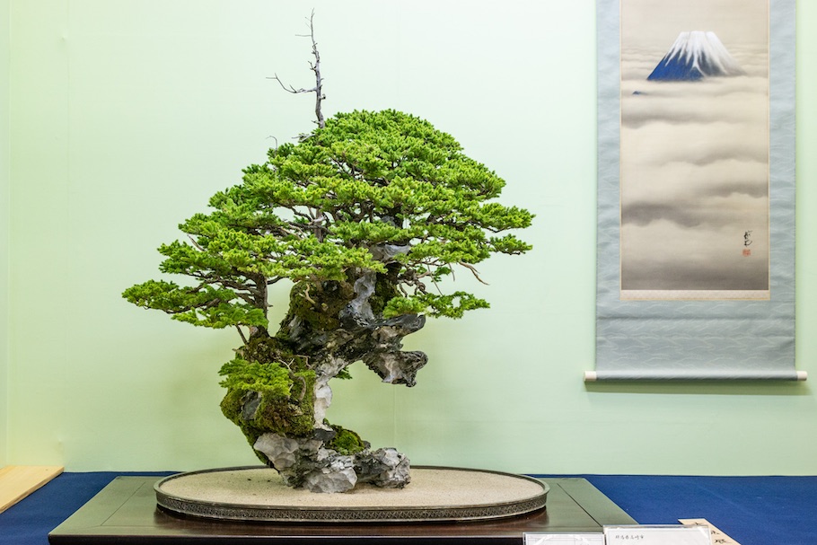 Rock Bonsai at the Taikan Ten, Japan