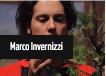 Marco Invernizzi