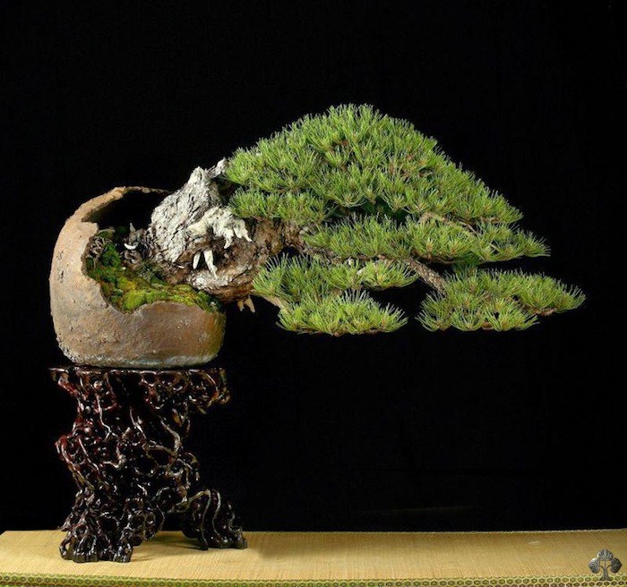 UBI bonsai