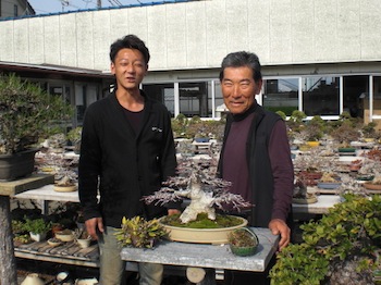 Taishoen Bonsai nursery