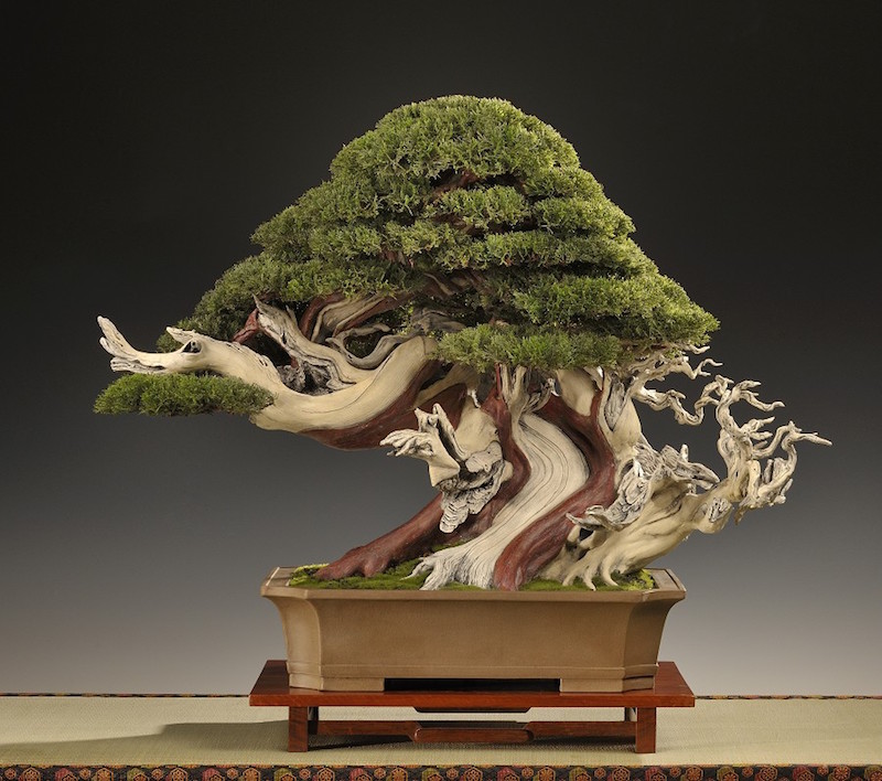 Artificial Bonsai