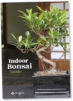 Get the free Indoor guide