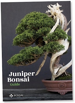 Get the free Juniper PDF