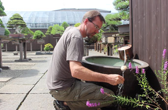 Bonsai Fundamentals Course