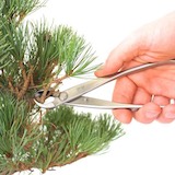 Create some space to cut, by pruning the majority of the branch first.