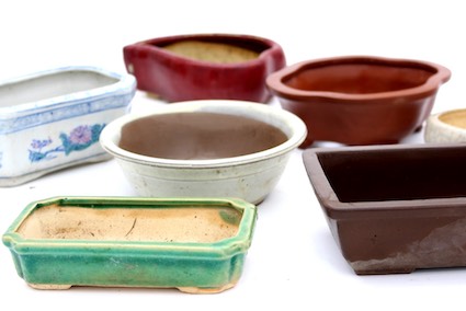 Bonsai pots