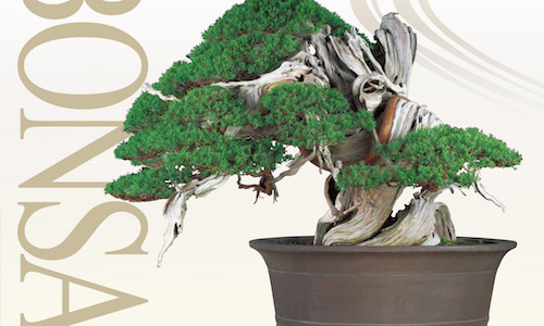 World Bonsai Convention