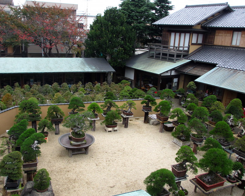 Shunkaen in tokyo