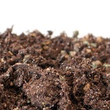 In some instances adding organic soil can be advised, especially when water absorption is important.