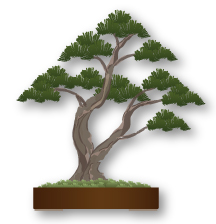 Sokan (double trunk) Bonsai style