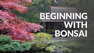 Beginning with Bonsai video