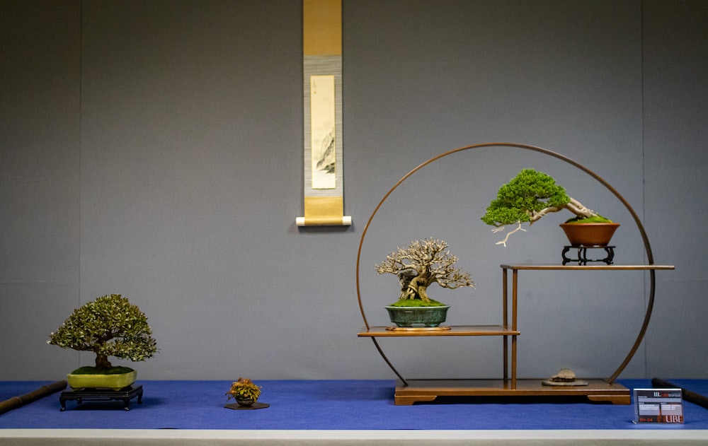 UBE Bonsai Exhibition