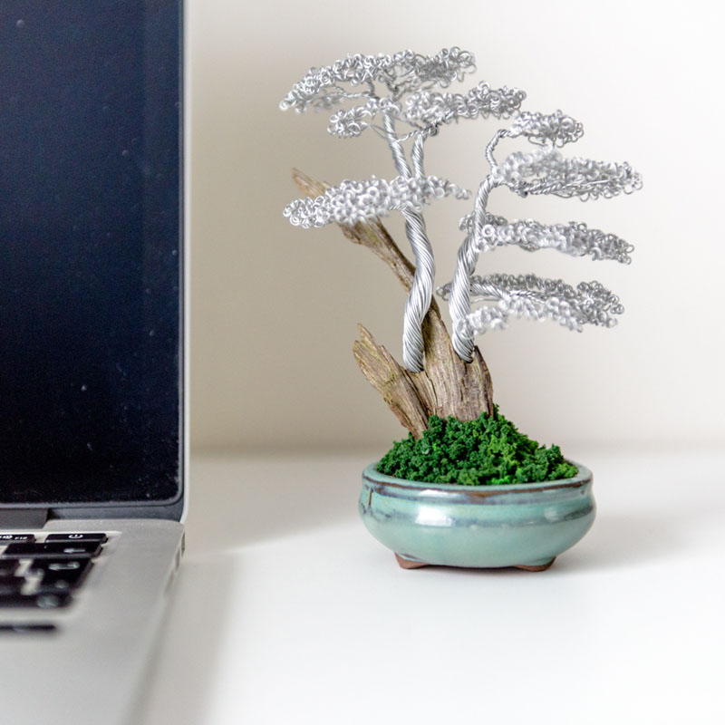 Wire Bonsai