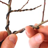 Once completely wired, we bend the branch and its side branches into position and shape.